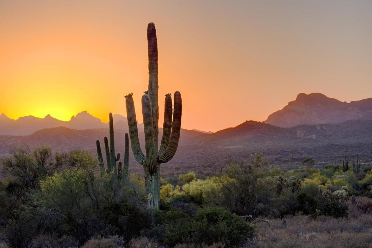 Aloft Scottsdale Hotel Kültér fotó